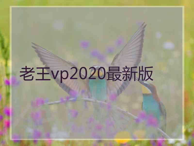 老王vp2020最新版