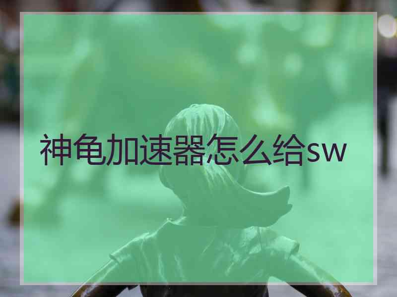 神龟加速器怎么给sw