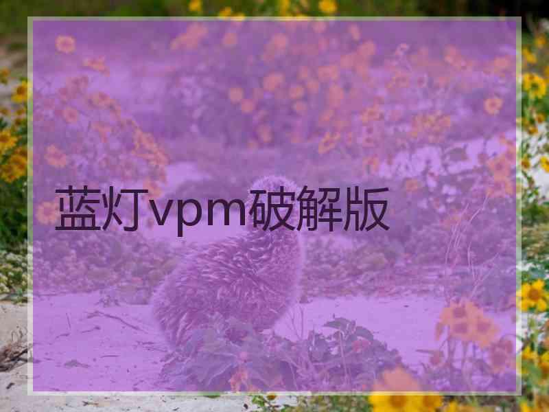 蓝灯vpm破解版