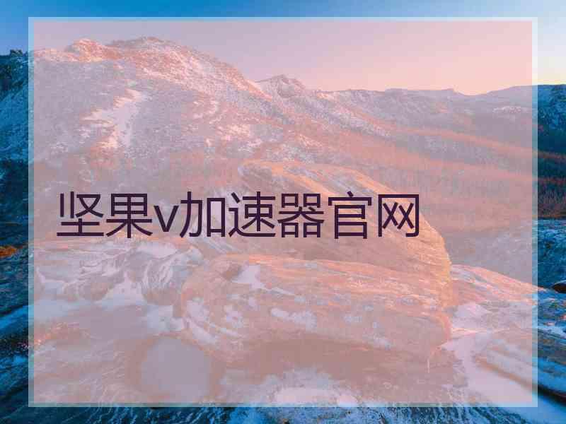 坚果v加速器官网