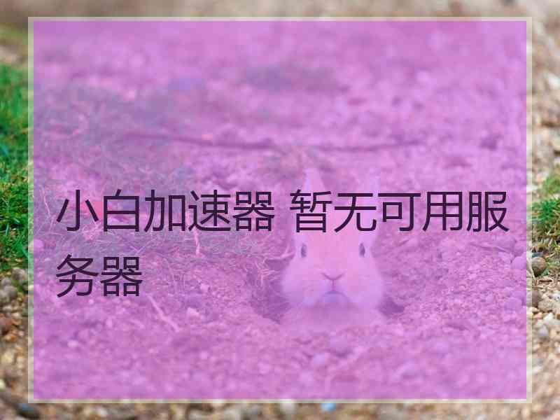 小白加速器 暂无可用服务器
