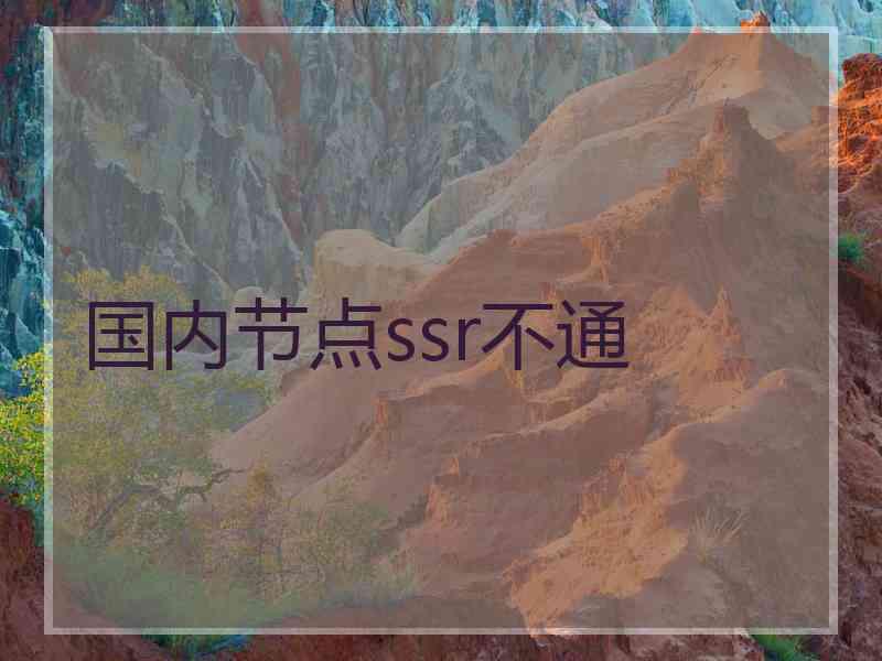 国内节点ssr不通