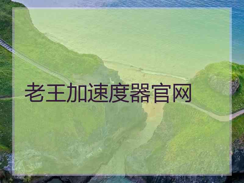 老王加速度器官网