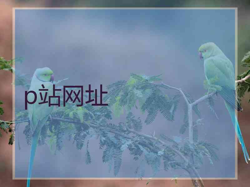 p站网址