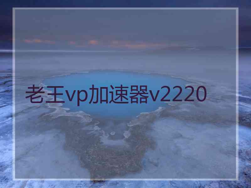 老王vp加速器v2220