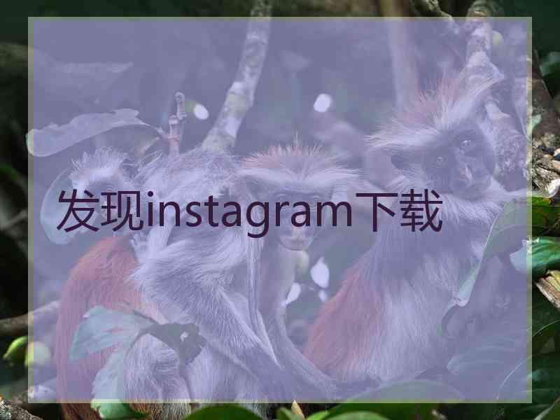 发现instagram下载