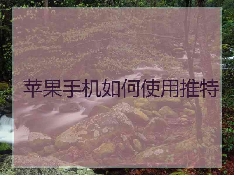 苹果手机如何使用推特