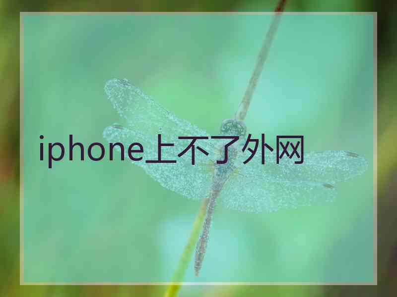 iphone上不了外网