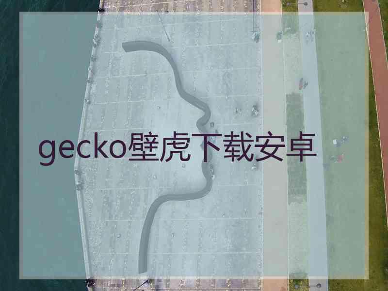 gecko壁虎下载安卓