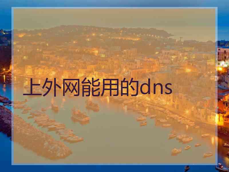 上外网能用的dns