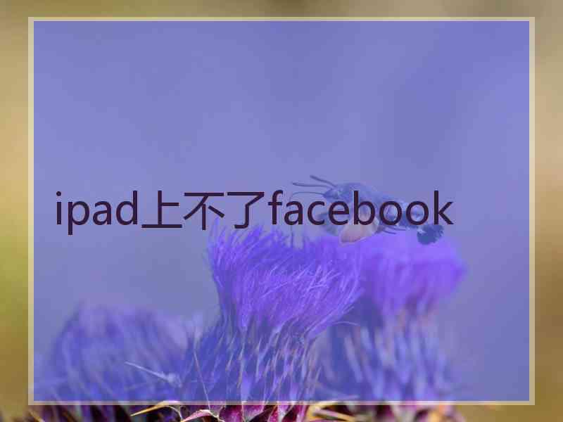 ipad上不了facebook