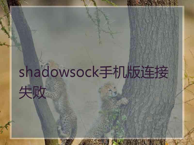 shadowsock手机版连接失败