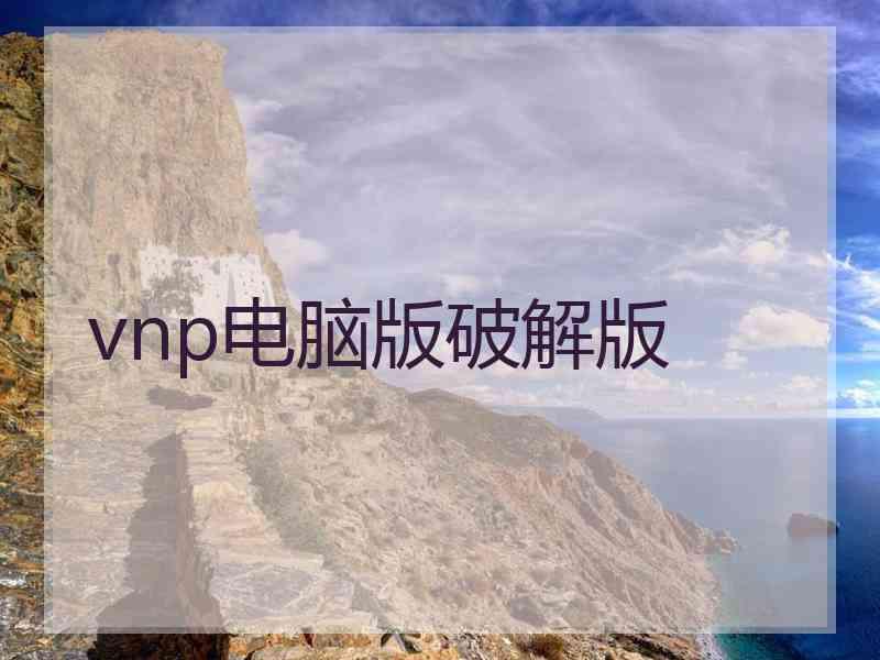 vnp电脑版破解版