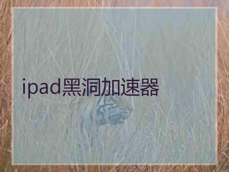 ipad黑洞加速器