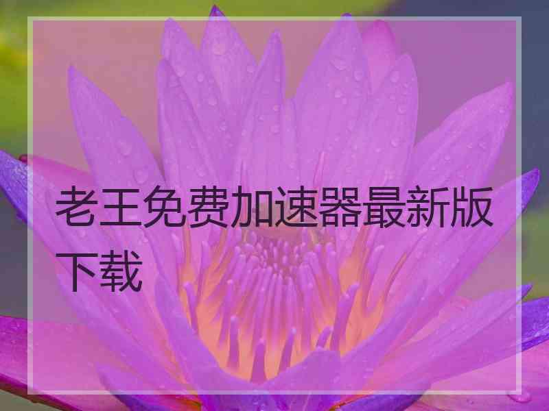 老王免费加速器最新版下载