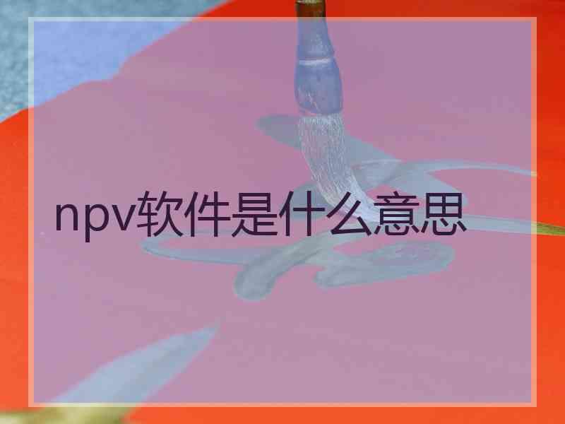npv软件是什么意思