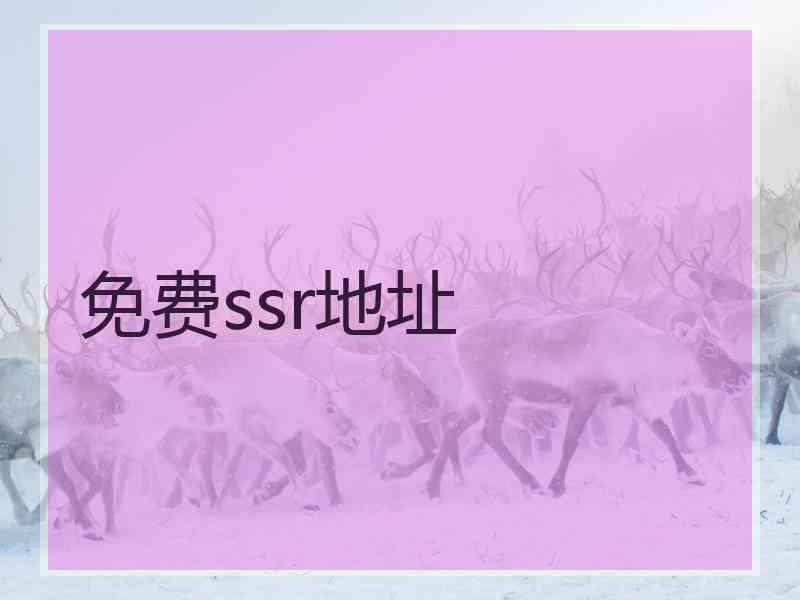 免费ssr地址