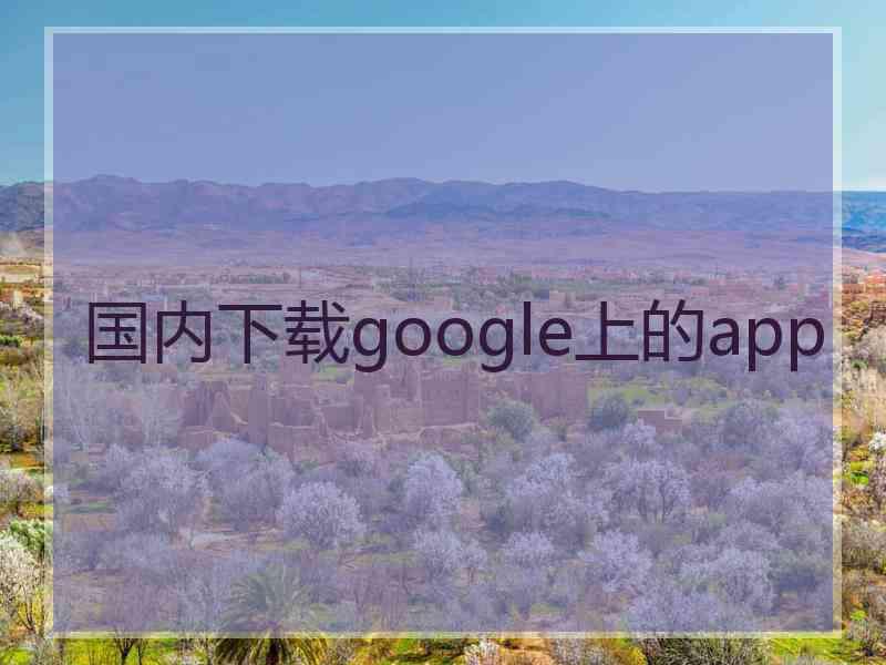 国内下载google上的app