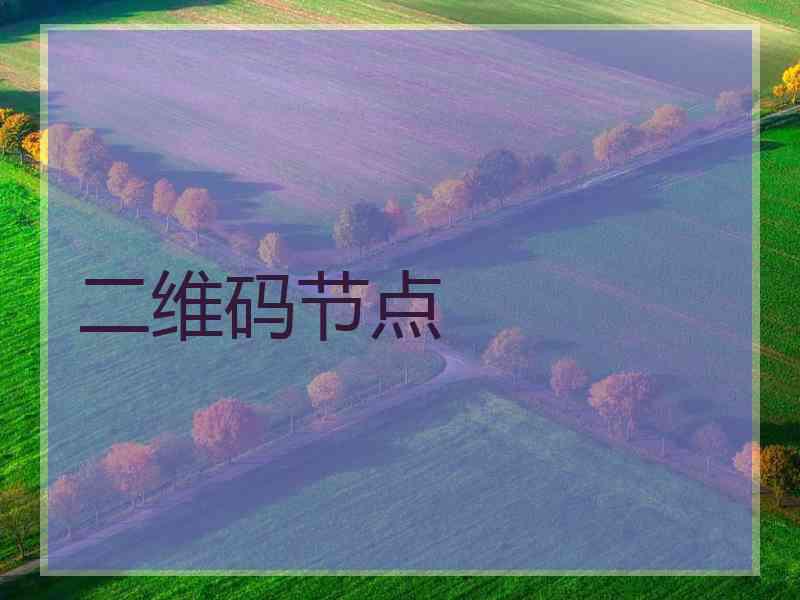 二维码节点