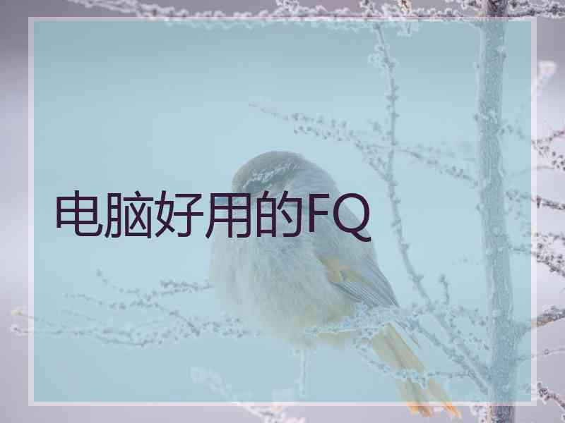 电脑好用的FQ