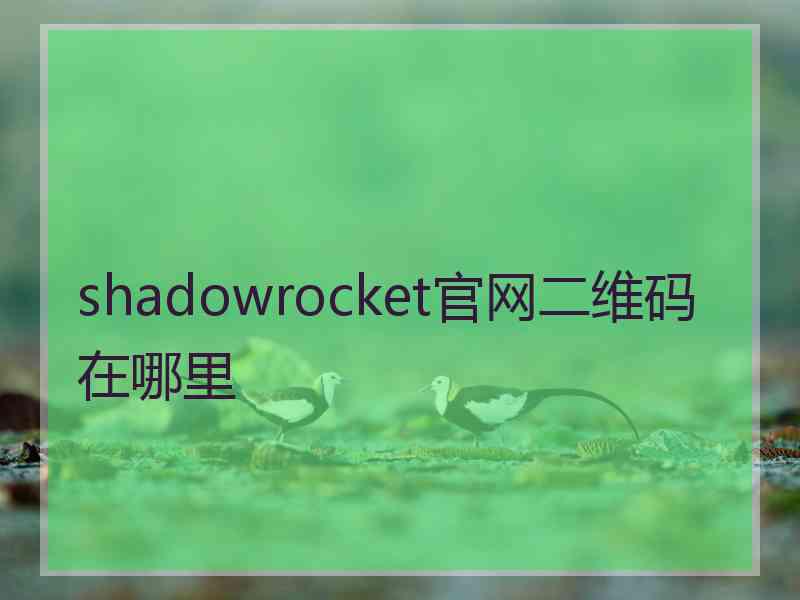 shadowrocket官网二维码在哪里