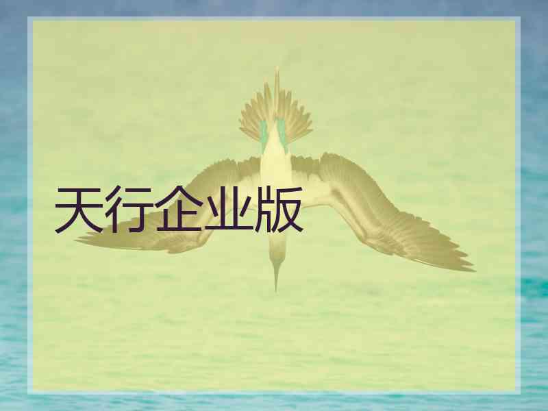 天行企业版