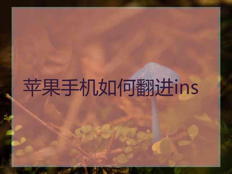 苹果手机如何翻进ins