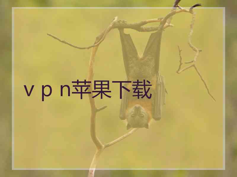 v p n苹果下载