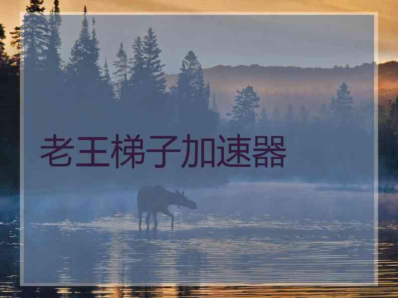 老王梯子加速器