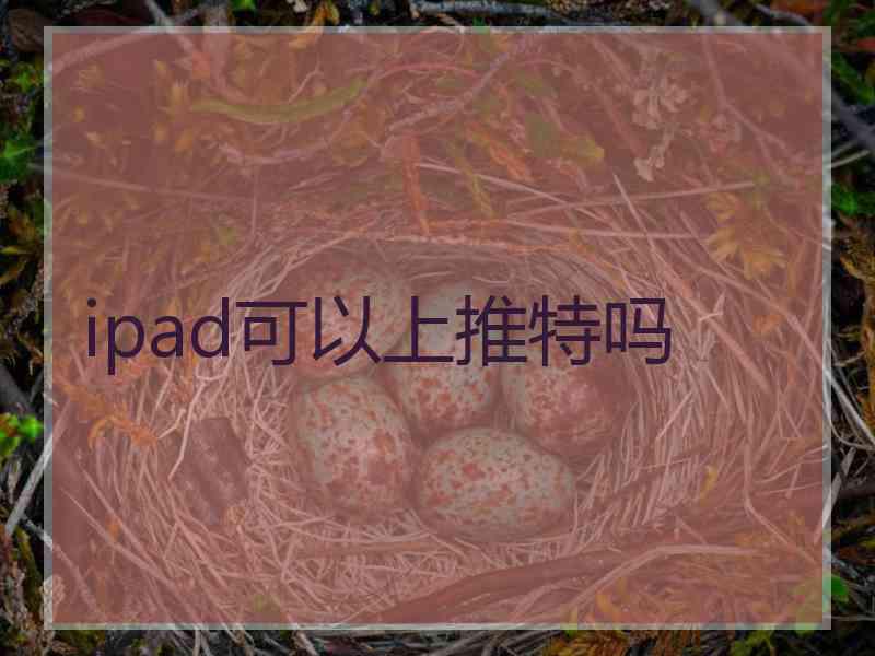 ipad可以上推特吗