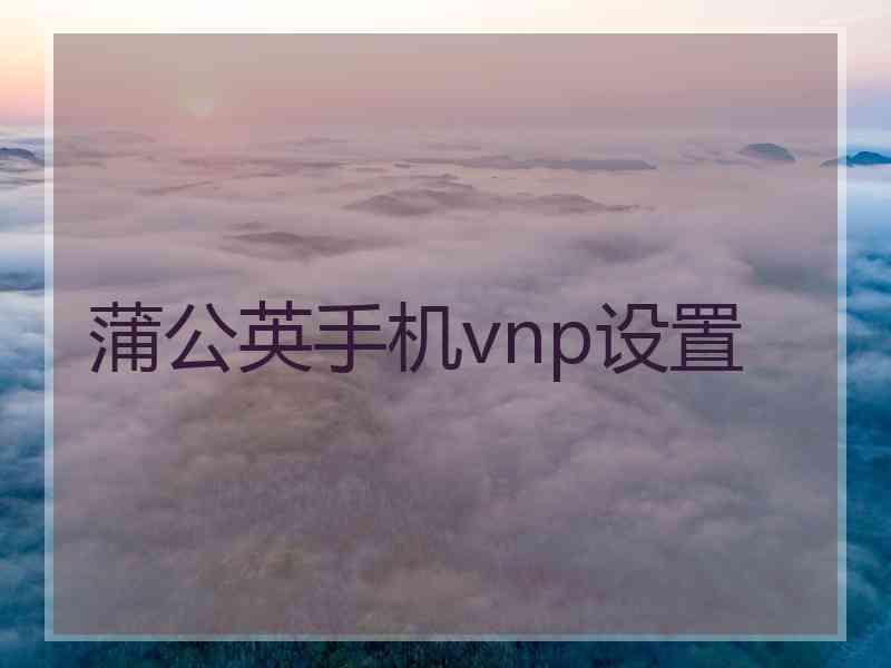 蒲公英手机vnp设置