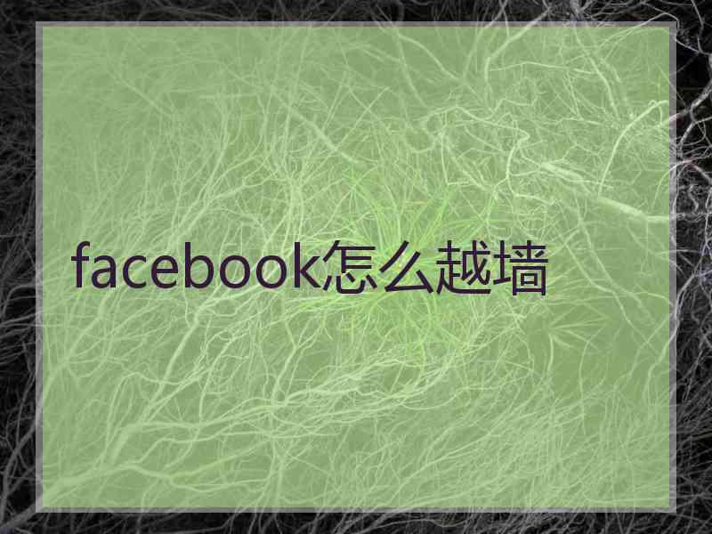 facebook怎么越墙