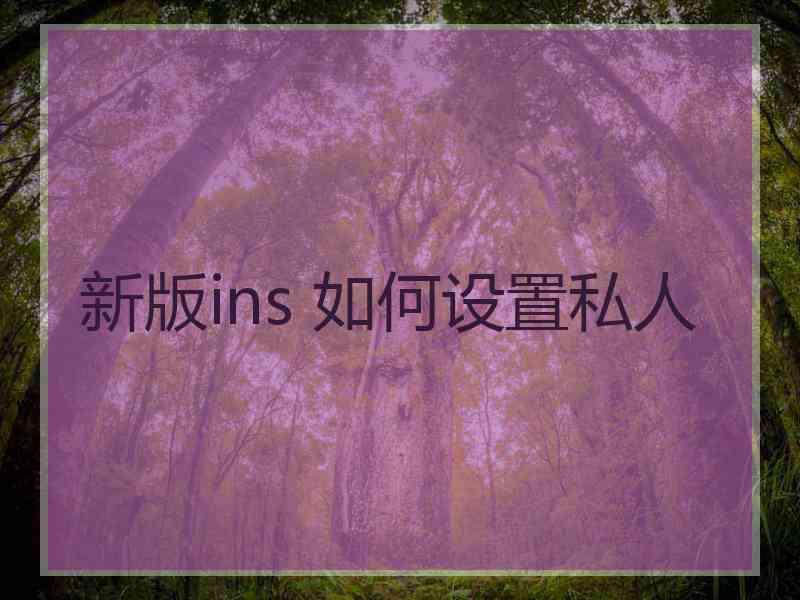 新版ins 如何设置私人