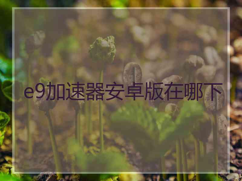 e9加速器安卓版在哪下