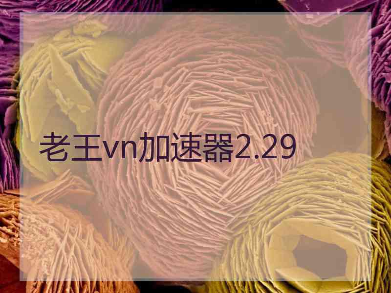 老王vn加速器2.29