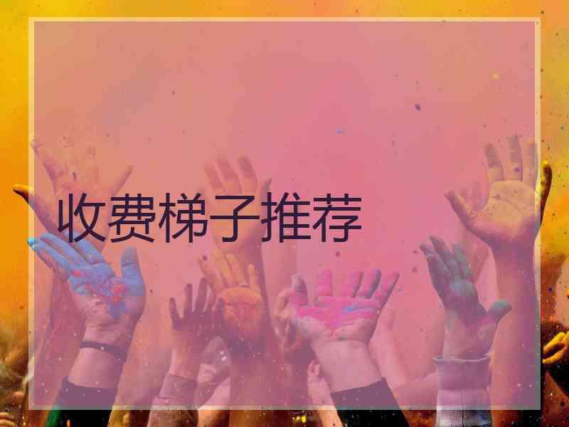 收费梯子推荐