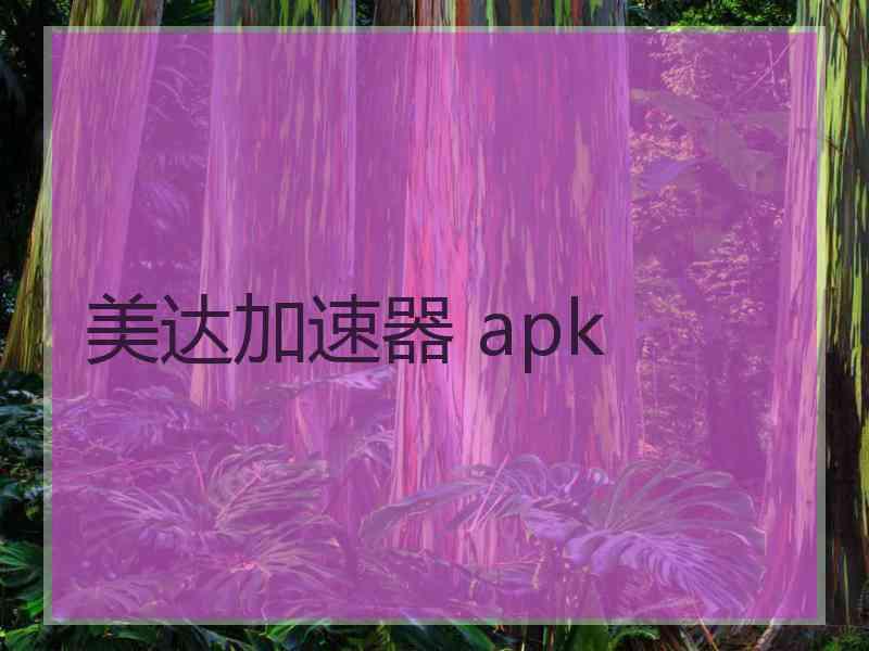 美达加速器 apk