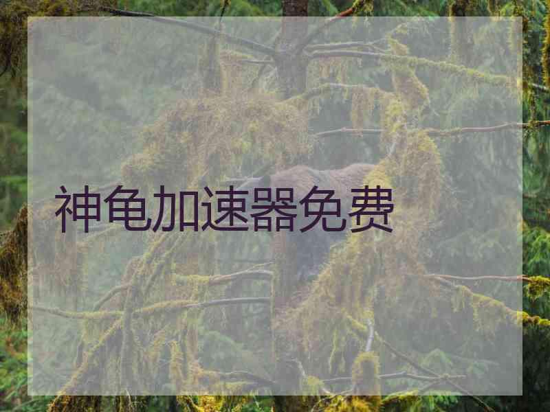 神龟加速器免费