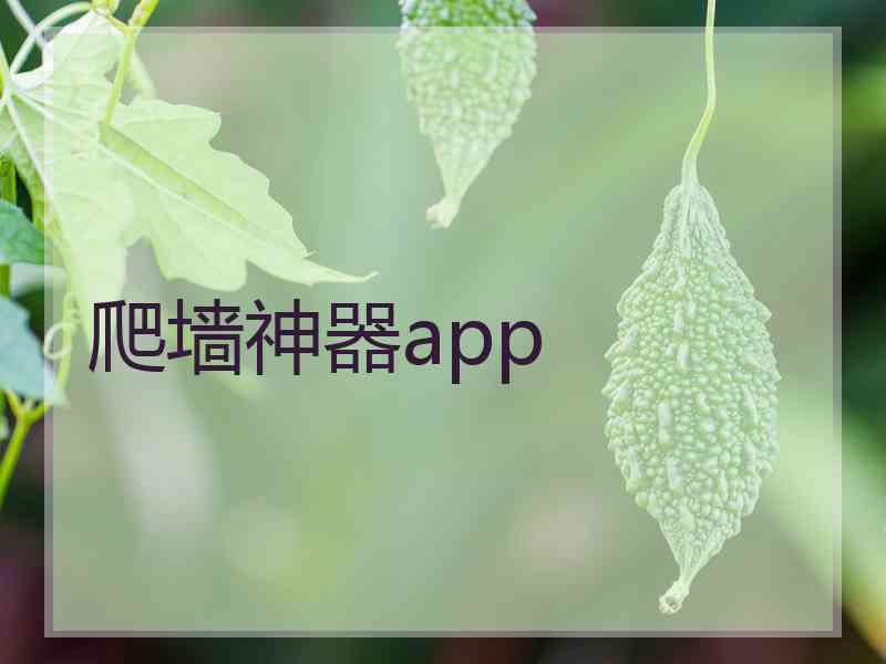 爬墙神器app