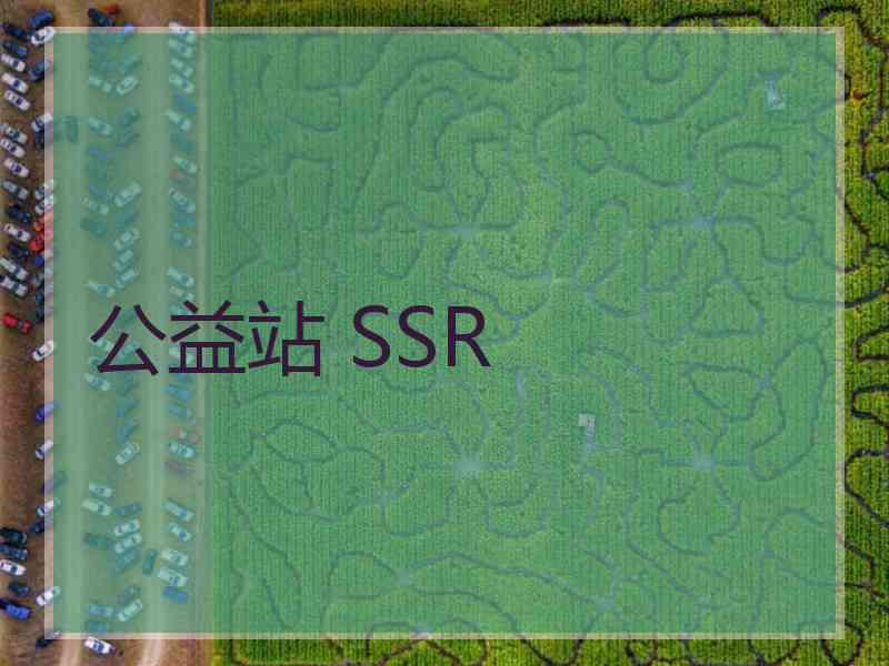 公益站 SSR