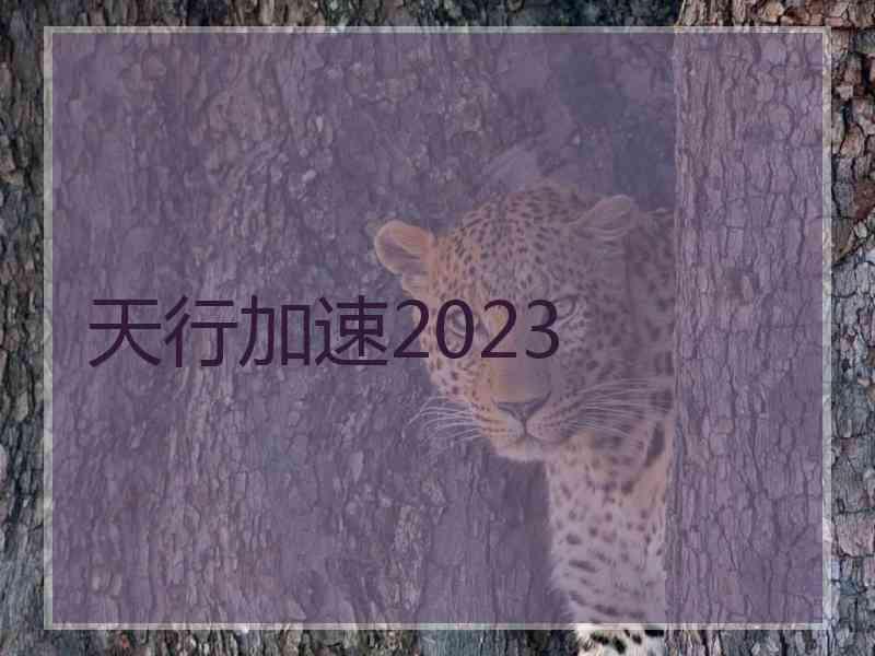 天行加速2023