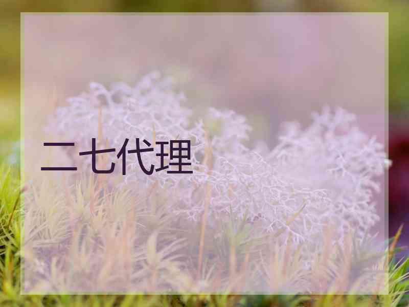 二七代理