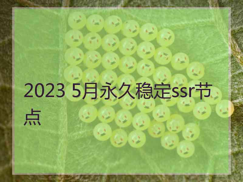 2023 5月永久稳定ssr节点