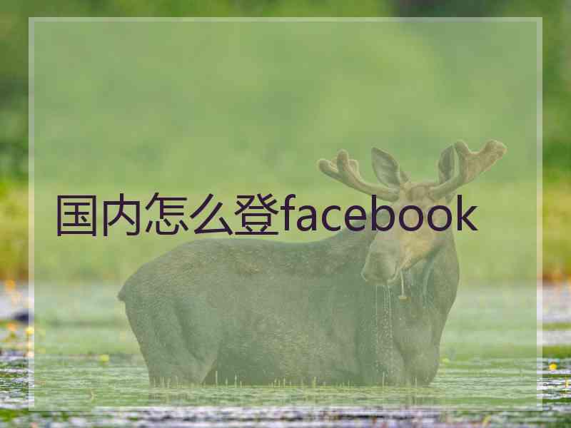 国内怎么登facebook