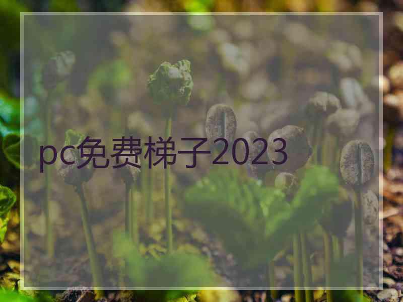 pc免费梯子2023