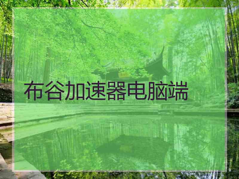 布谷加速器电脑端