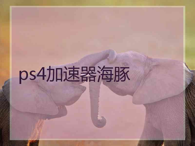 ps4加速器海豚