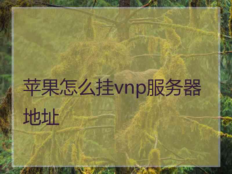 苹果怎么挂vnp服务器地址