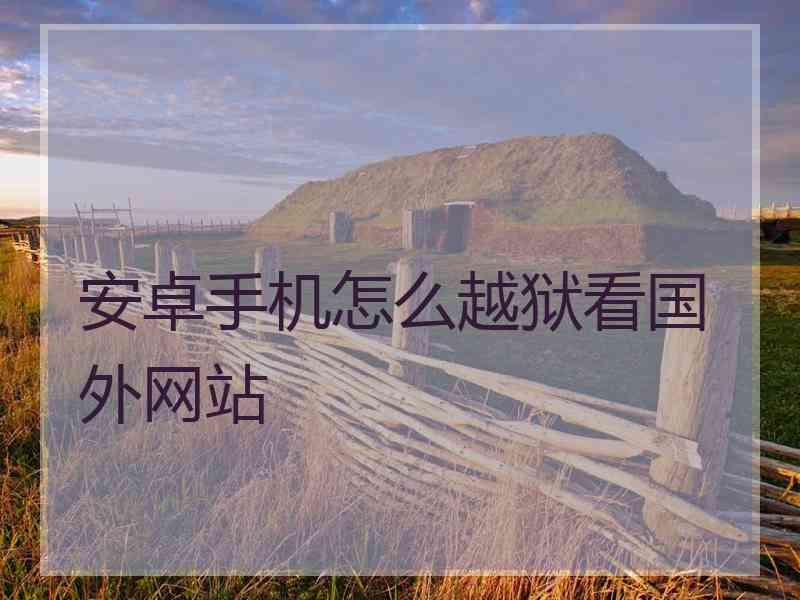 安卓手机怎么越狱看国外网站