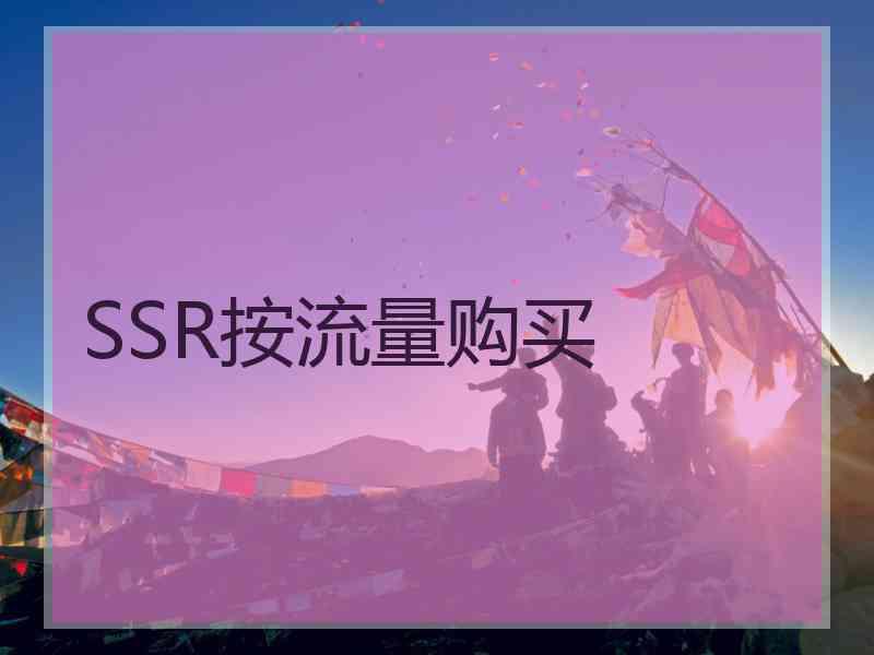 SSR按流量购买